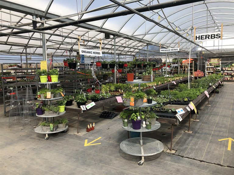 Services Art Knapp Kelowna