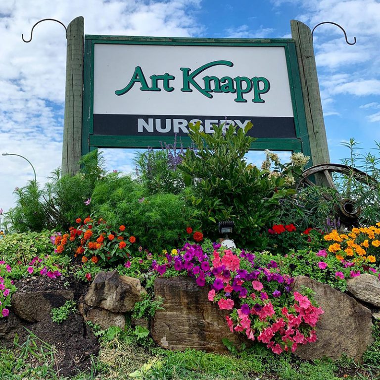 Services Art Knapp Kelowna