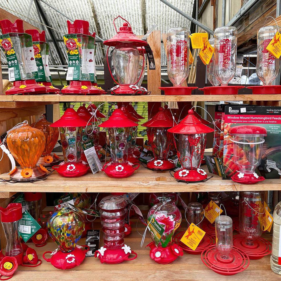 Home Art Knapp Kelowna