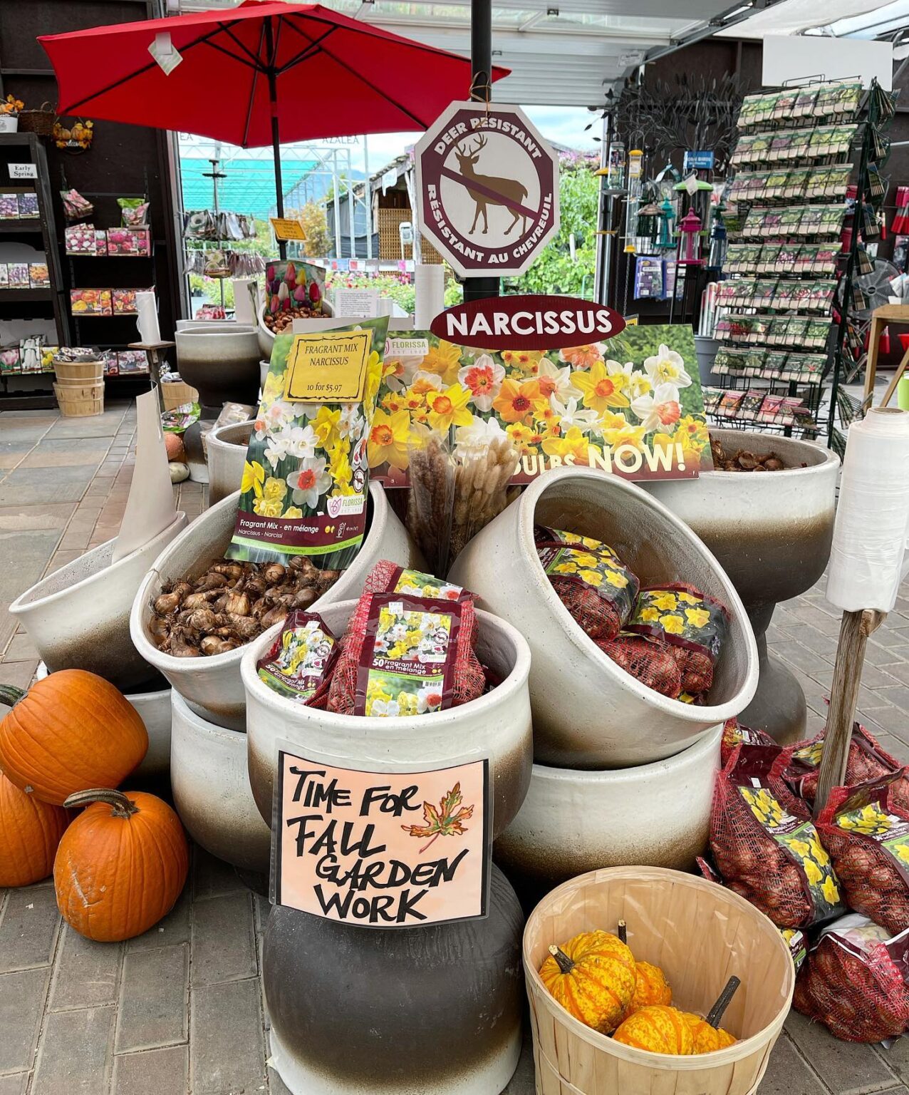 Home Art Knapp Kelowna