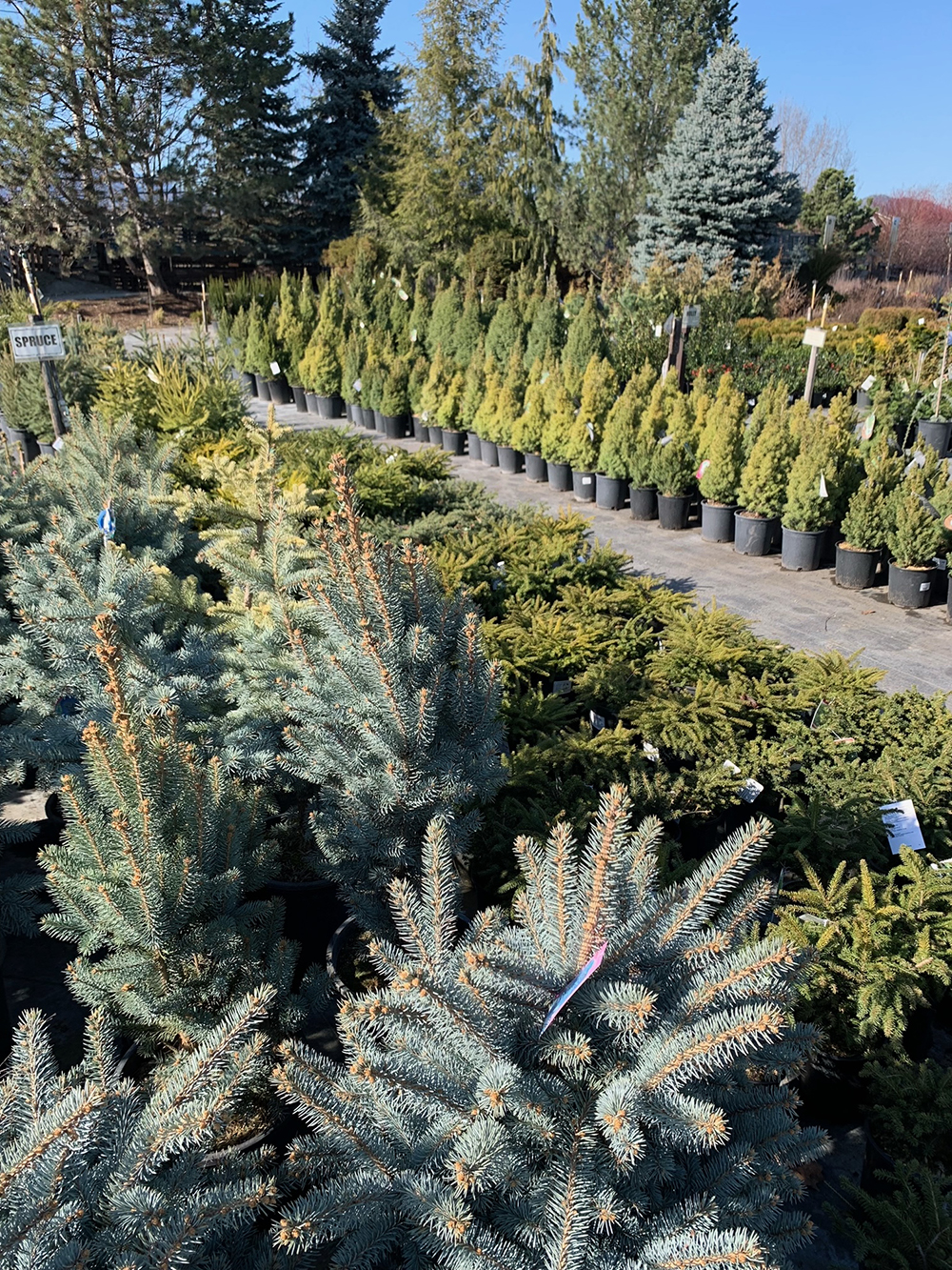 Home Art Knapp Kelowna