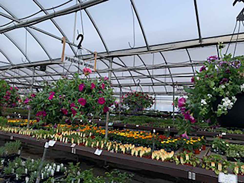 Home Art Knapp Kelowna