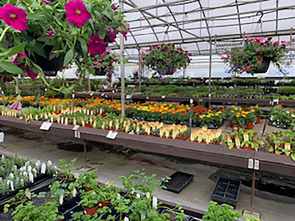 Home Art Knapp Kelowna