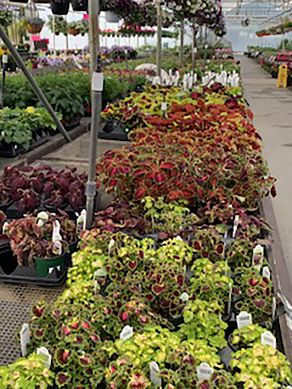 Home Art Knapp Kelowna