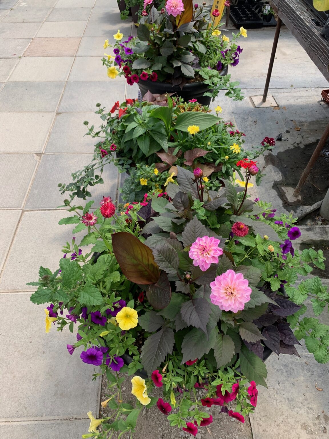 Home Art Knapp Kelowna